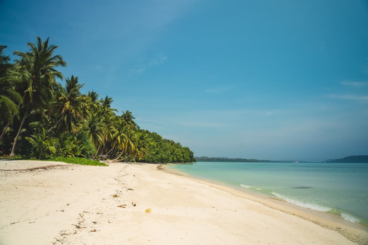 Andaman Delight, Port Blair (2N) · Havelock (2N) · Neil Island (1N)