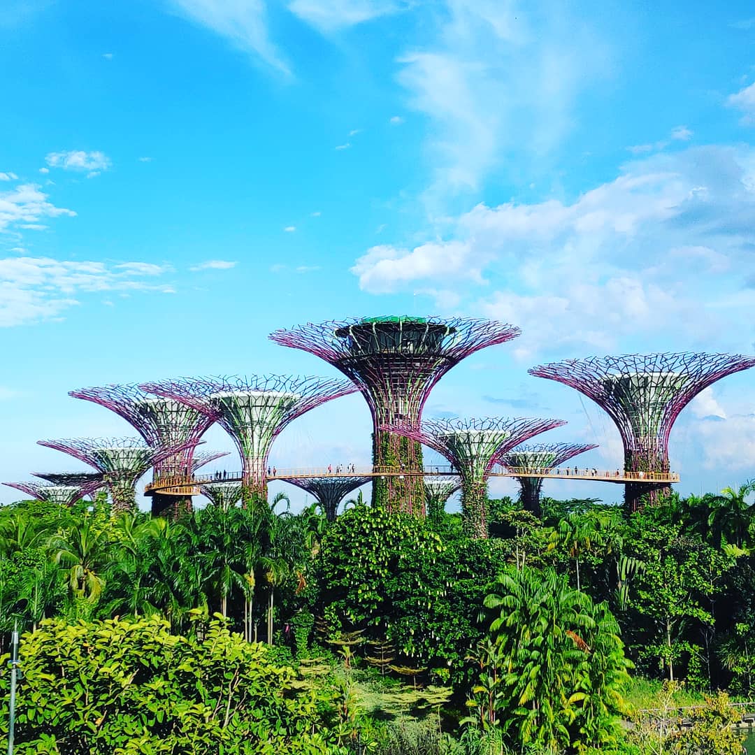 Singapore, Singapore city · Sentosa